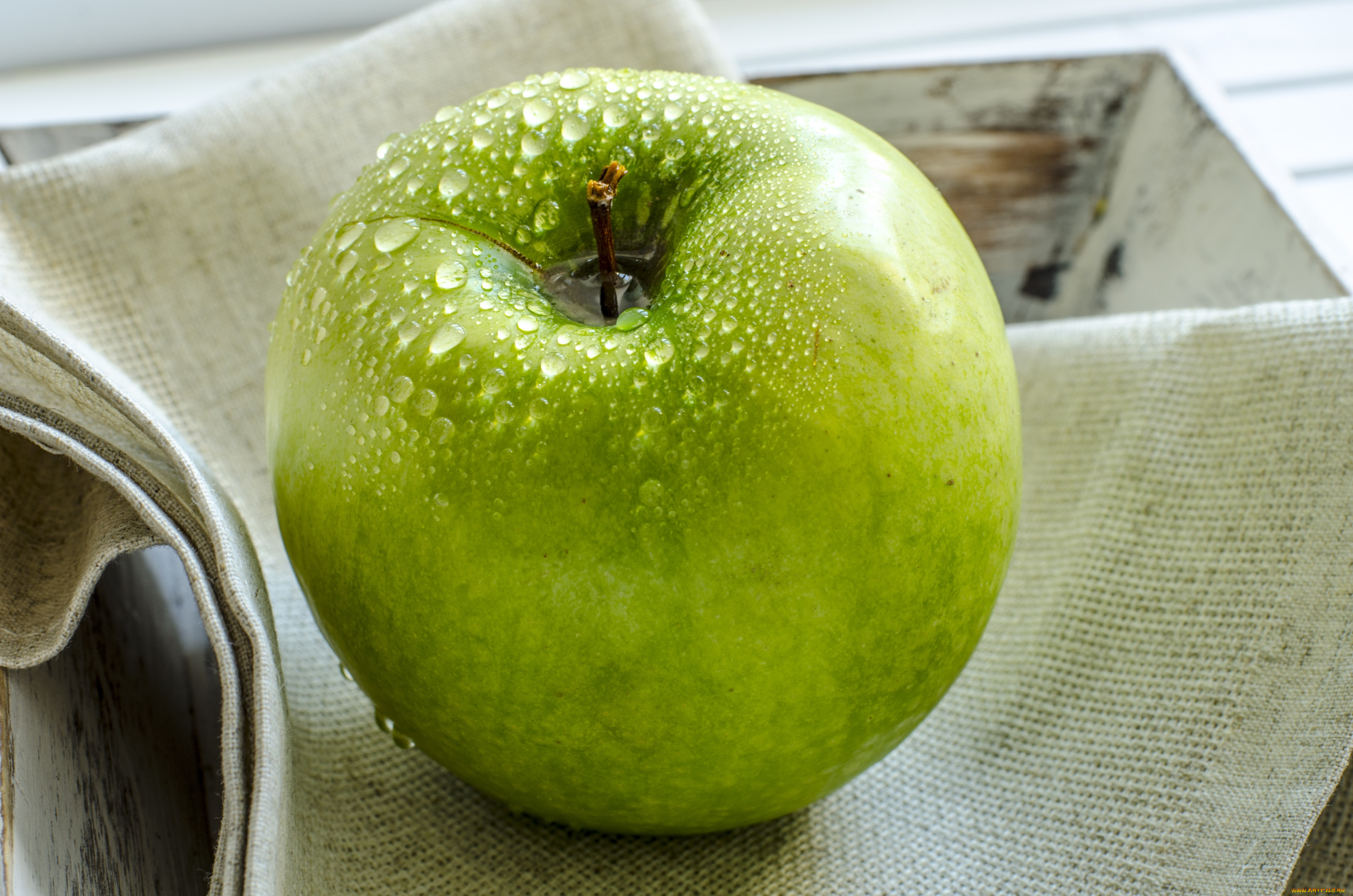 Яблоко. Грин Эппл Green Apple. Яблоки зеленые. Сочное яблоко. Цвет зеленое яблоко.